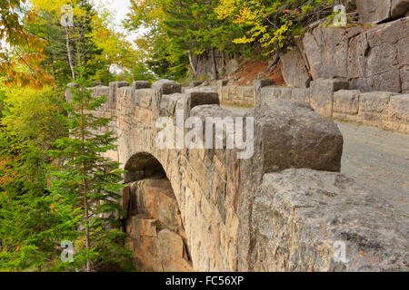 Cliffside Brücke, Jordan Stream Schleife Beförderung Straße, Acadia National Park, Maine, USA Stockfoto