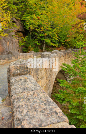 Cliffside Brücke, Jordan Stream Schleife Beförderung Straße, Acadia National Park, Maine, USA Stockfoto