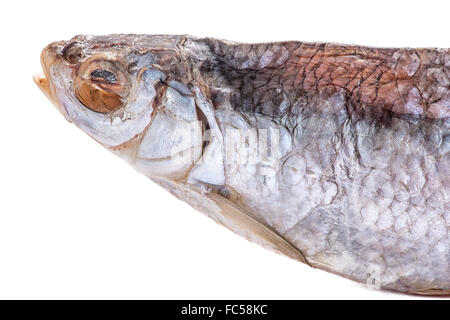 Getrockneter Fisch auf weißem Hintergrund Stockfoto