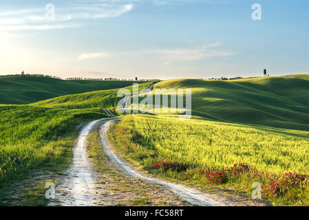 Route der toskanischen Landschaft Stockfoto