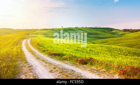 Route der toskanischen Landschaft Stockfoto