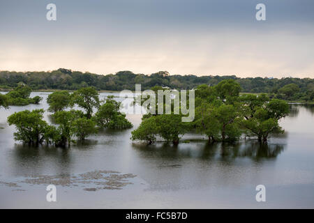 Kumana National Park, ehemals Yala East, Kumana, Eastern Province, Sri Lanka, Asien Stockfoto