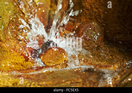 Natürliche Quelle für mineralische Heilwasser. Stockfoto