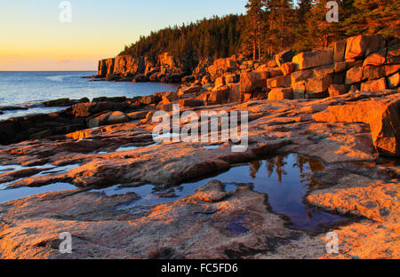 Otter-Klippe bei Sonnenaufgang, der Ozean-Trail, Acadia National Park, Maine, USA Stockfoto