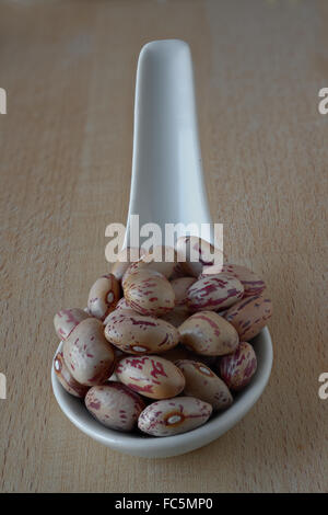 Rosecoco Bohnen auf Porzellanlöffel Stockfoto