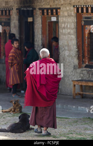 Buddhistischer Mönch an Tamshing Tempel, Jakar, Bumthang, zentrale Bhutan, Asien Stockfoto