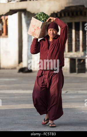 Mönch, der Gemüse im buddhistischen Kloster, Jakar, Bumthang, Zentral-Bhutan, Asien trägt Stockfoto