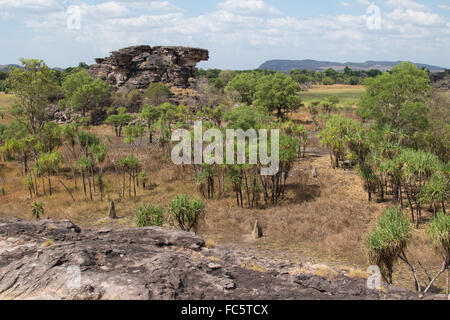 Felsen in einer Mischung aus Savanne und Weideländern Wald Lebensraum, Kakadu National Park, Australien Stockfoto