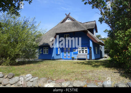 Ahrenshoop in Vorpommern-Rügen Stockfoto