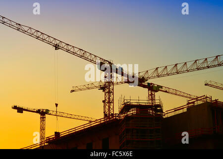 Krane in Berlin Stockfoto