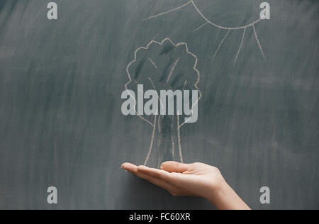 Baum unter der Sonne Stockfoto