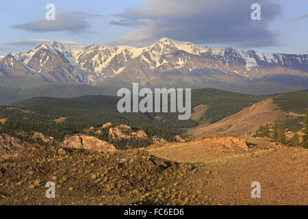 Kurai Steppe und North Tschuja Ridge im Morgengrauen. Stockfoto