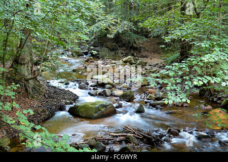 Der Fluss Ilse im Harz Stockfoto