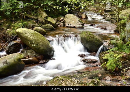 Der Fluss Ilse im Harz Stockfoto