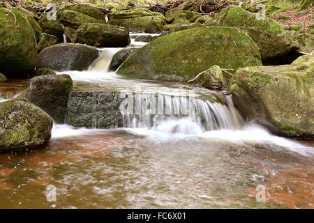 Der Fluss Ilse im Harz Stockfoto