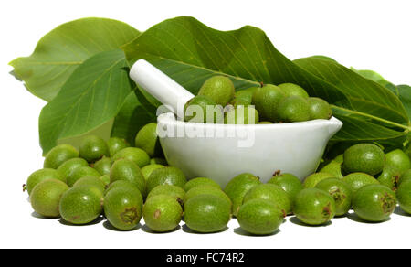 Grüner junge Walnüsse in Schalen Stockfoto