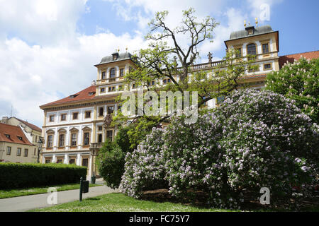 Praha-Schloss im Frühjahr Stockfoto