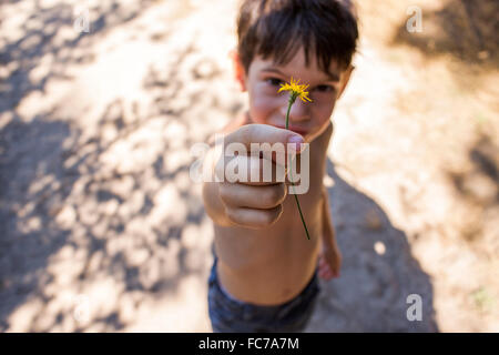 Gemischte Rassen junge Blume pflücken Stockfoto