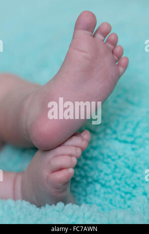 Blick auf kleine Füße und Zehen eines einen Monat alt Baby jungen hautnah Stockfoto