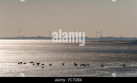 Nationalpark Wattenmeer Stockfoto