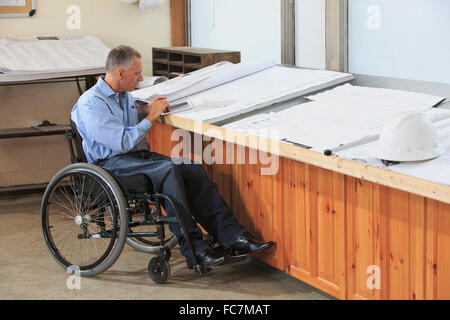 Kaukasische Architekt im Rollstuhl, die im Büro arbeiten Stockfoto