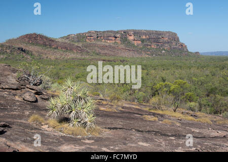 Nourlangie Rock, Kakadu National Park, Australien Stockfoto