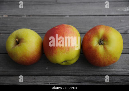 Apple-Art Jamba Stockfoto