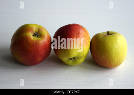 Apple-Art Jamba Stockfoto