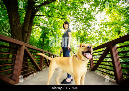 Kaukasische Frau zu Fuß Hund auf Brücke Stockfoto