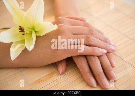 Händen der Hispanic Frau mit Blume Stockfoto