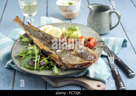 Grill-Sea Robin Stockfoto