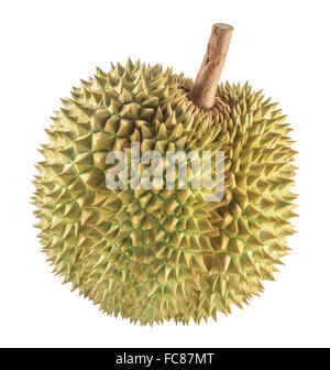 Durian Frucht isoliert auf weißem Hintergrund Stockfoto