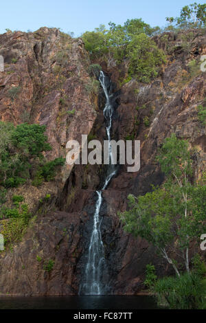 Wangi Falls, Litchfield National Park, Australien in der Trockenzeit Stockfoto