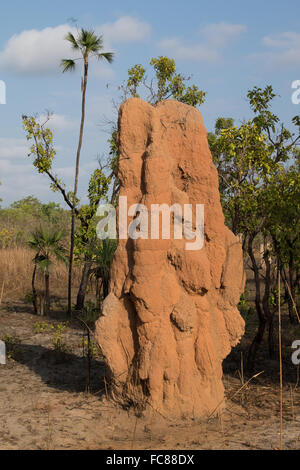 5 Meter hohen Dom Termite Mound (Nasutitermes Triodiae) Stockfoto