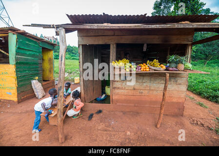 Verkauf von Obst auf der Straße, Jinja, Uganda, Afrika. Stockfoto