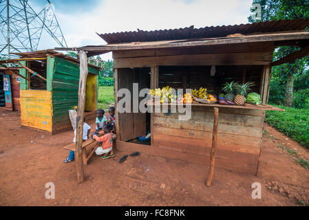 Verkauf von Obst auf der Straße, Jinja, Uganda, Afrika. Stockfoto