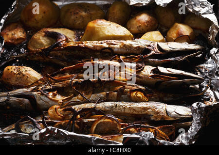 Fisch in Folie gebacken Stockfoto