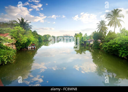 Kleine Häuser an einem Fluss in Junles von Sri Lanka Stockfoto