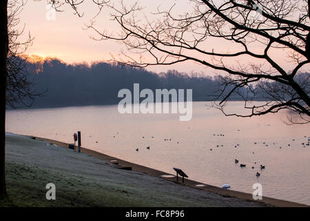 Leeds, UK. 21. Januar 2016. UK-Wetter: Die Sonne über Roundhay Park in Leeds am 21. Januar 2016.  Morgens Temperaturen um-2 Grad C. Credit: James Copeland/Alamy Live News Stockfoto