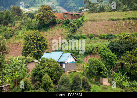 Landschaft mit landwirtschaftlichen Flächen, Bwindi Nationalpark in Süd-Uganda, Afrika Stockfoto