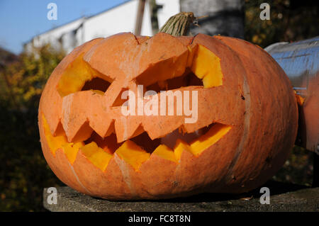 Halloween-Kürbis Stockfoto