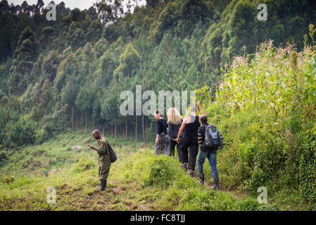 eine Gruppe von Touristen gehen für ein trekking zu finden Gorilla im Bwindi Nationalpark, Uganda, Afrika Stockfoto