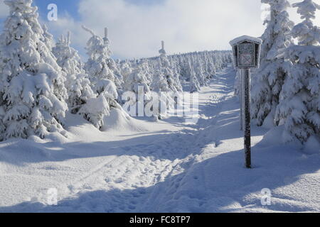 Cervenohorske Sedlo, Winter, Schnee Stockfoto