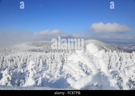 Cervenohorske Sedlo, Winter, Schnee Stockfoto