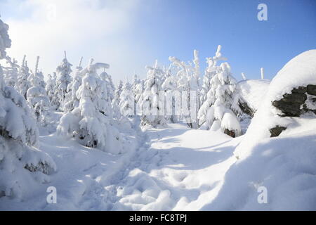 Cervenohorske Sedlo, Winter, Schnee Stockfoto