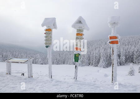 Cervenohorske Sedlo, Winter, Schnee Stockfoto