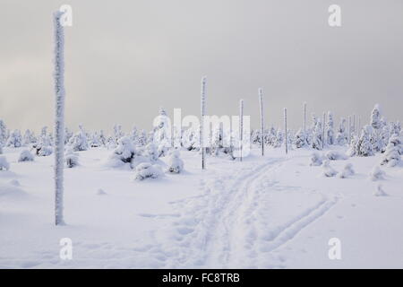 Cervenohorske Sedlo, Winter, Schnee Stockfoto