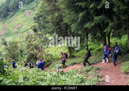 eine Gruppe von Touristen gehen für ein trekking zu finden Gorilla im Bwindi Nationalpark, Uganda, Afrika Stockfoto