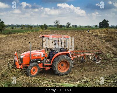 Nong Ya Khao, Nakhon Ratchasima, Thailand. 21. Januar 2016. Ein Landwirt Kassen seinem Maniok-Gebiet in der Provinz Nakhon Ratchasima Thailand. Maniok, trockenheitsresistent Wurzel Gemüse, ist eines der Gemüse die thailändische Regierung die Bauern zum anstelle von Reis ermutigt und anderen mehr abhängige bewässern. Thailand ist weltweit führender Exporteur von getrocknete Maniok Flocken. Die Dürre Greifsysteme Thailand war während der Regenzeit nicht gebrochen. Bildnachweis: ZUMA Press, Inc./Alamy Live-Nachrichten Stockfoto