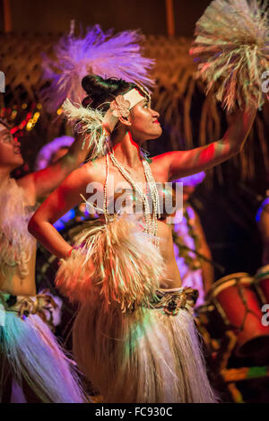 Highland Paradies, Trommeln von unseren Vorfahren kulturelle zeigen, Rarotonga, Cook-Inseln, South Pacific, Pazifik Stockfoto